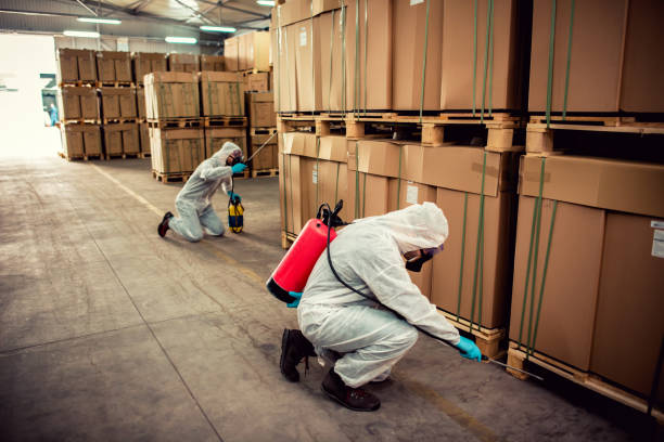 Best Mosquito Control Services  in Choctaw, OK