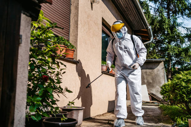 Best Pest Removal Services  in Choctaw, OK