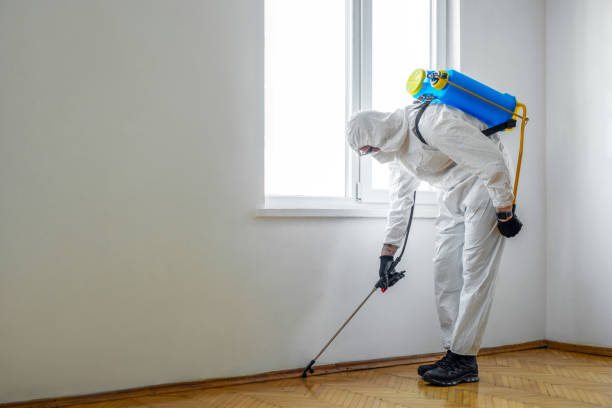 Best Commercial Pest Control Services  in Choctaw, OK