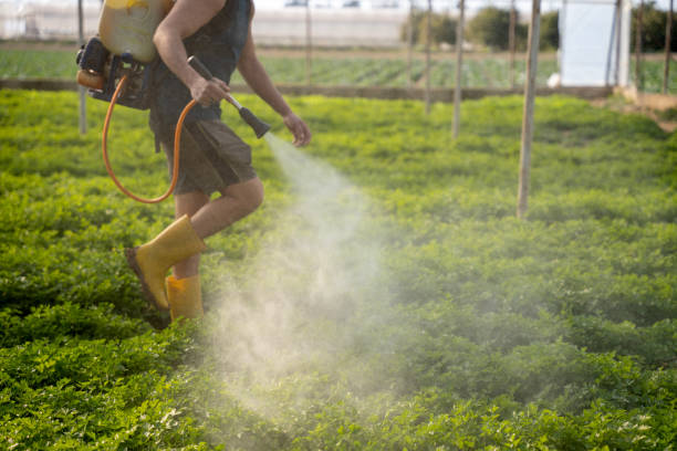 Best Residential Pest Control  in Choctaw, OK