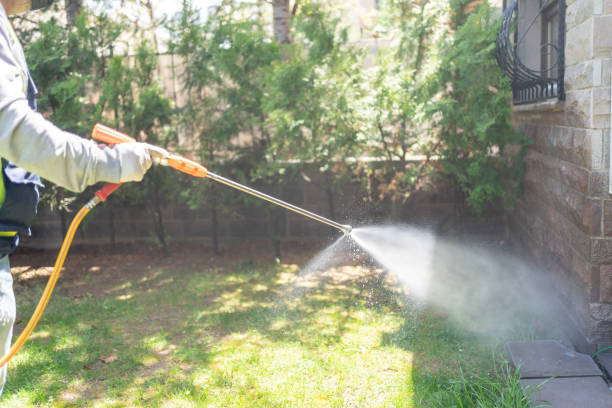 Professional Pest Control in Choctaw, OK