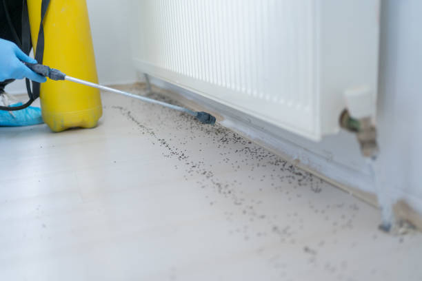 Best Exterminator Services  in Choctaw, OK