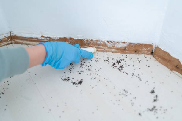Best Wildlife Control Services  in Choctaw, OK