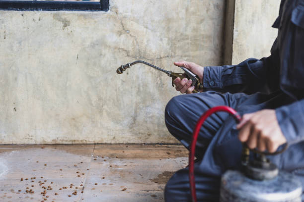 Best Best Pest Control Companies  in Choctaw, OK